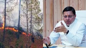 राज्य सरकार ने एक वर्ष में पांच करोड़ रूपये से ज्यादा का पिरूल खरीदा