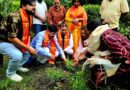 एक पेड़ माँ के नाम” केवल वृक्षारोपण का कार्यक्रम नहीं, बल्कि मातृशक्ति के प्रति सम्मान और पर्यावरण संरक्षण का भावनात्मक संदेश……………कुंदन परिहार