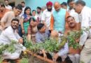 सेवा कार्य के मार्गेट विभिन्न जिलों में अस्पतालों में भर्ती मरीजों को किए गए फल वितरित